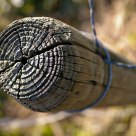 Fence